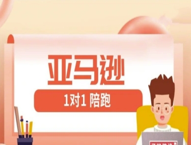 亚马逊1对1陪跑课(FBA/FBM精铺)跨境亚马逊教程 - 创享网-创享网