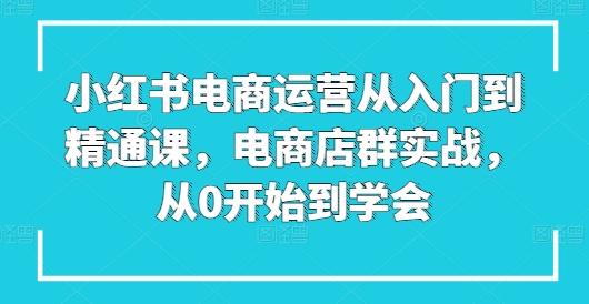 小红书电商运营从入门到精通课，电商店群实战，从0开始到学会 - 创享网-创享网