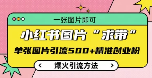 小红书图片‘求带’爆火引流法，单张图片引流500+精准创业粉【揭秘】 - 创享网-创享网