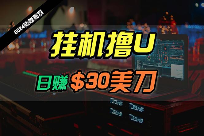 (10013期)日赚30美刀，2024最新海外挂机撸U内部项目，全程无人值守，可批量放大 - 创享网-创享网