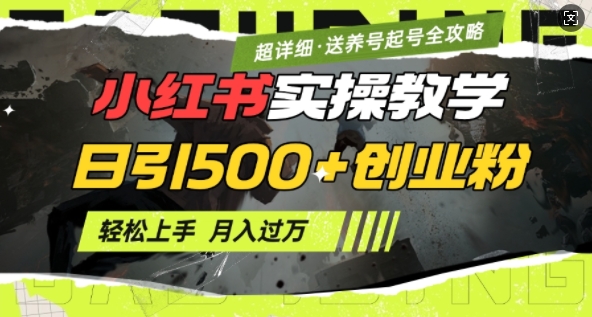 2月小红书最新日引500+创业粉实操教学【超详细】小白轻松上手，月入1W+，附小红书养号起号SOP - 创享网-创享网