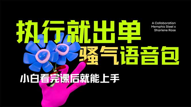 爆火全网的开车导航骚气语音包,只要执行就出单，小白看完课程就能实操... - 创享网-创享网
