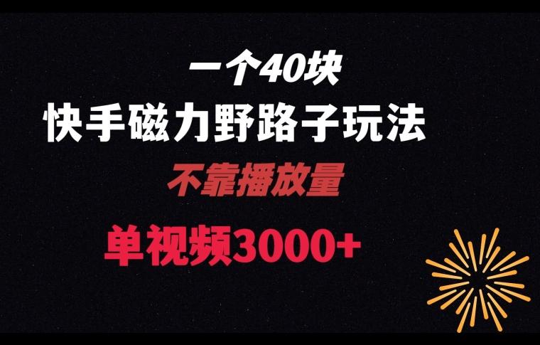 一个40块，快手联合美团磁力新玩法，无视机制野路子玩法，单视频收益4位数【揭秘】 - 创享网-创享网