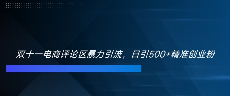 双十一电商评论区暴力引流，日引500+精准创业粉【揭秘】 - 创享网-创享网