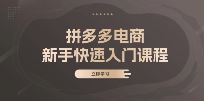 拼多多电商新手快速入门课程：涵盖基础、实战与选款，助力小白轻松上手 - 创享网-创享网