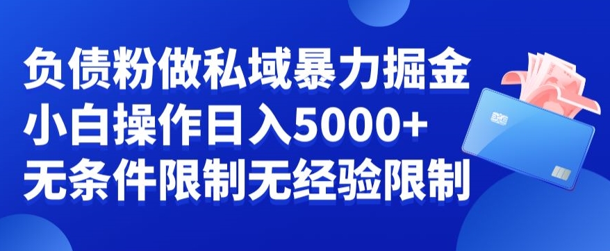 负债粉私域暴力掘金，小白操作入5000，无经验限制，无条件限制【揭秘】 - 创享网-创享网