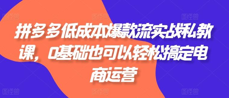 拼多多低成本爆款流实战私教课，0基础也可以轻松搞定电商运营 - 创享网-创享网