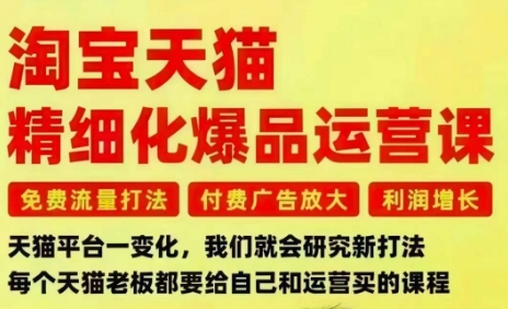 淘宝天猫精细化爆品运营课，免费流量打法-付费广告放大-利润增长-三大核心痛点，一次全部解决-创享网
