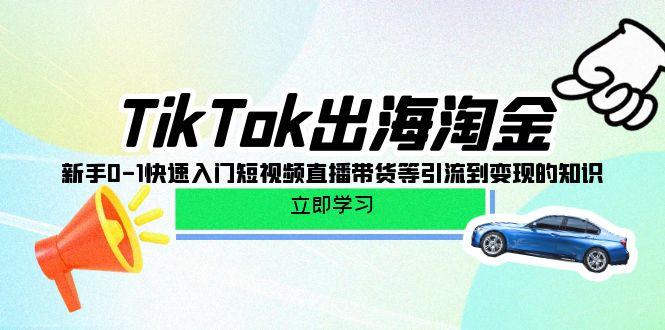 (10035期)TikTok-出海淘金，新手0-1快速入门短视频直播带货等引流到变现的知识 - 创享网-创享网