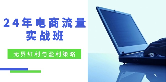 24年电商流量实战班：无界 红利与盈利策略，终极提升/关键词优化/精准... - 创享网-创享网