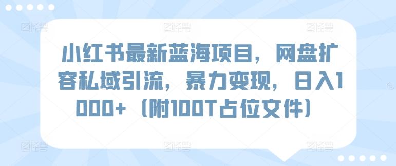 小红书最新蓝海项目，网盘扩容私域引流，暴力变现，日入1000+(附100T占位文件)【揭秘】 - 创享网-创享网